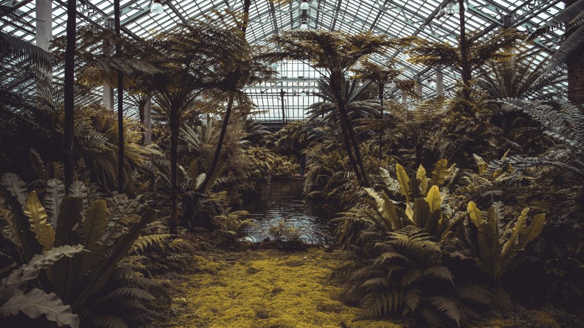 Les 5 raisons de visiter Terra Botanica à Angers