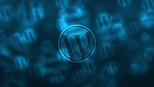 Le Développeur WordPress Freelance en Tunisie : Un Partenaire Clé pour Votre Site Web.